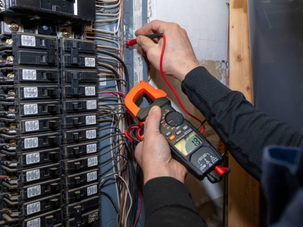 Best Home Electrical Repair  in Tallapoosa, GA